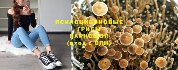 гашик Алзамай