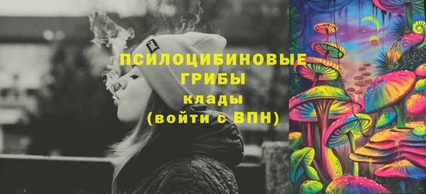 шишки Алексеевка